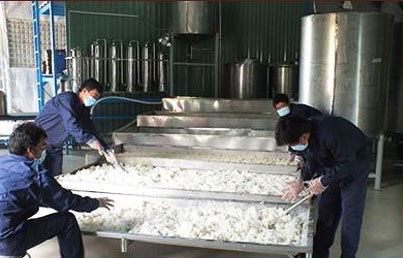 Giai đoạn làm men rượu 1